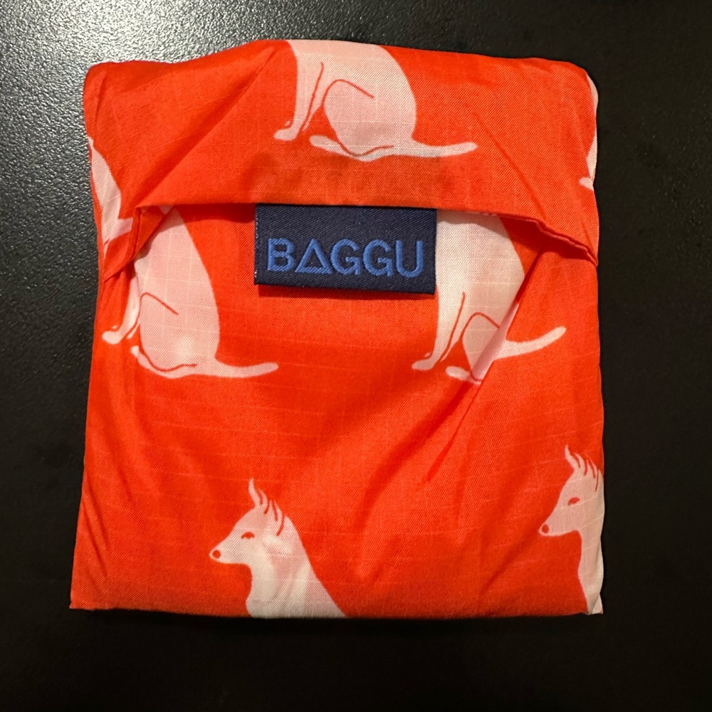BAGGU Vibrant Orange Pouch with Dog Design for TRADE